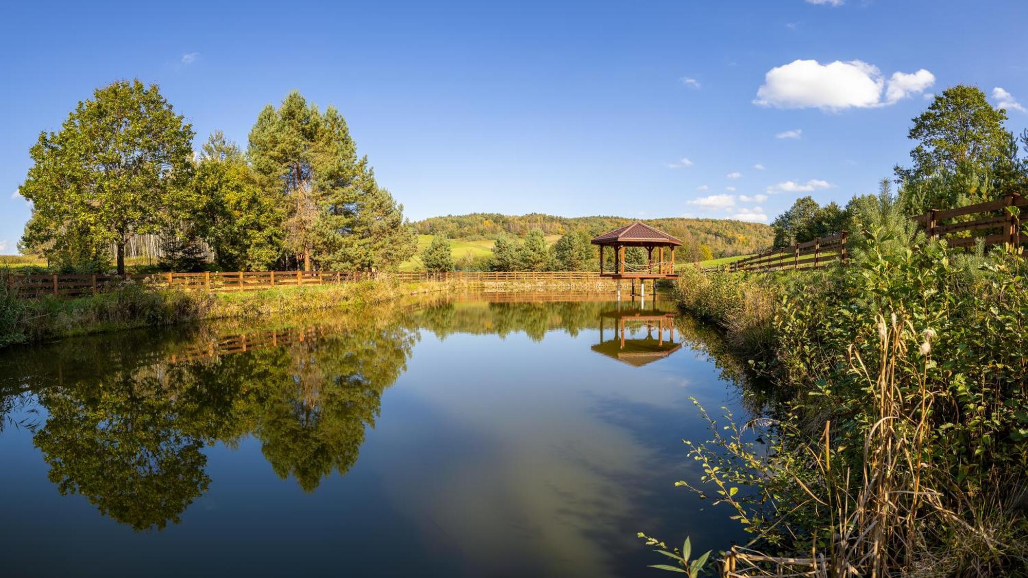 Hotel Glamping Pod Gwiazdami Pietrusza Wola Zewnętrze zdjęcie