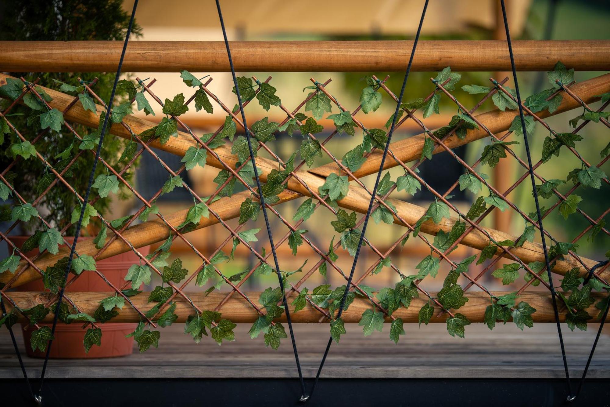 Hotel Glamping Pod Gwiazdami Pietrusza Wola Zewnętrze zdjęcie