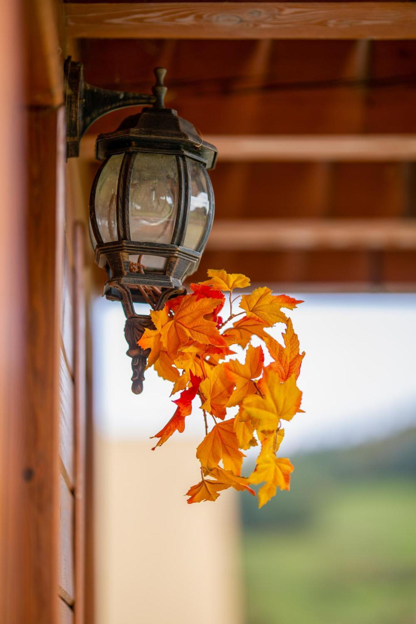 Hotel Glamping Pod Gwiazdami Pietrusza Wola Zewnętrze zdjęcie