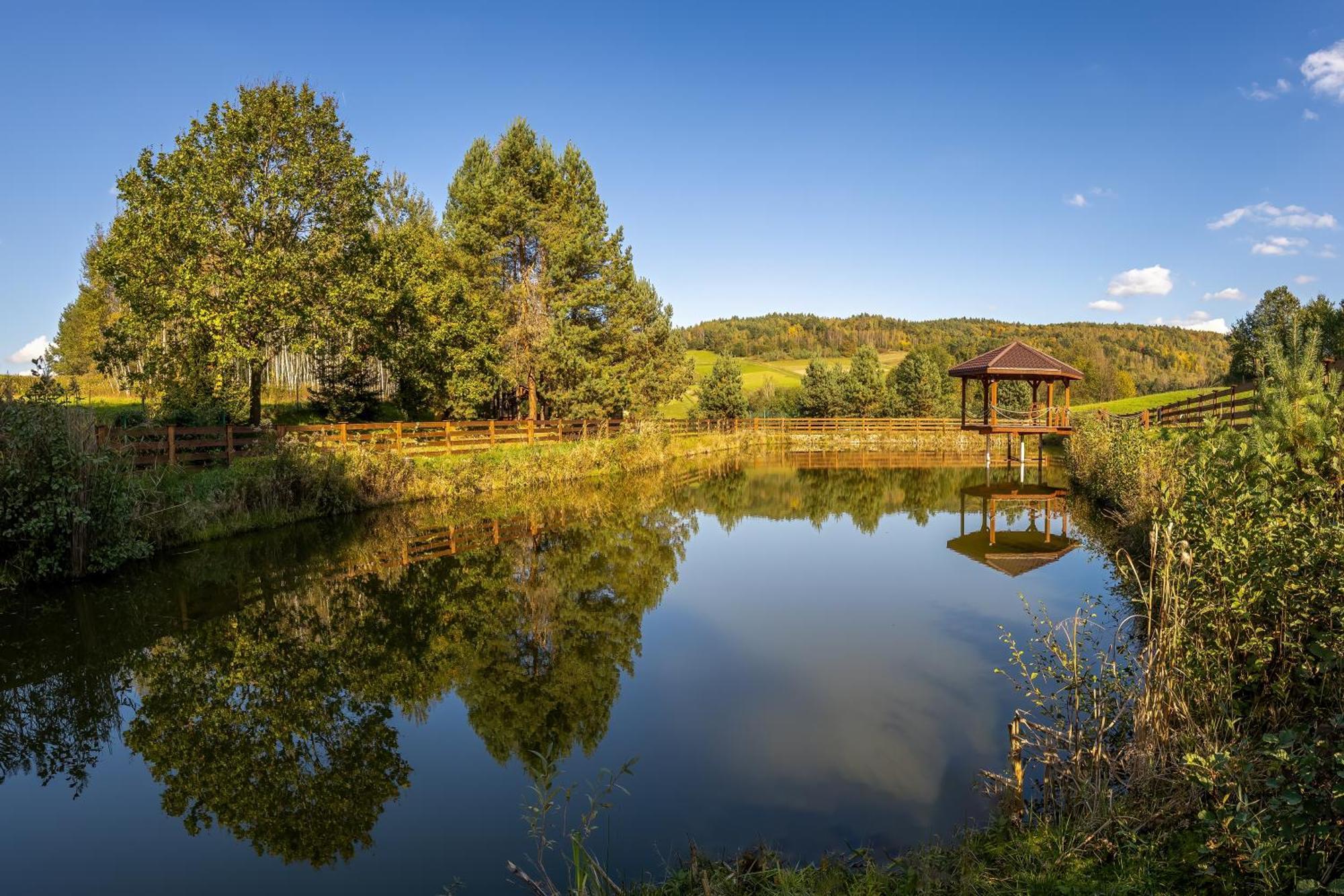 Hotel Glamping Pod Gwiazdami Pietrusza Wola Zewnętrze zdjęcie