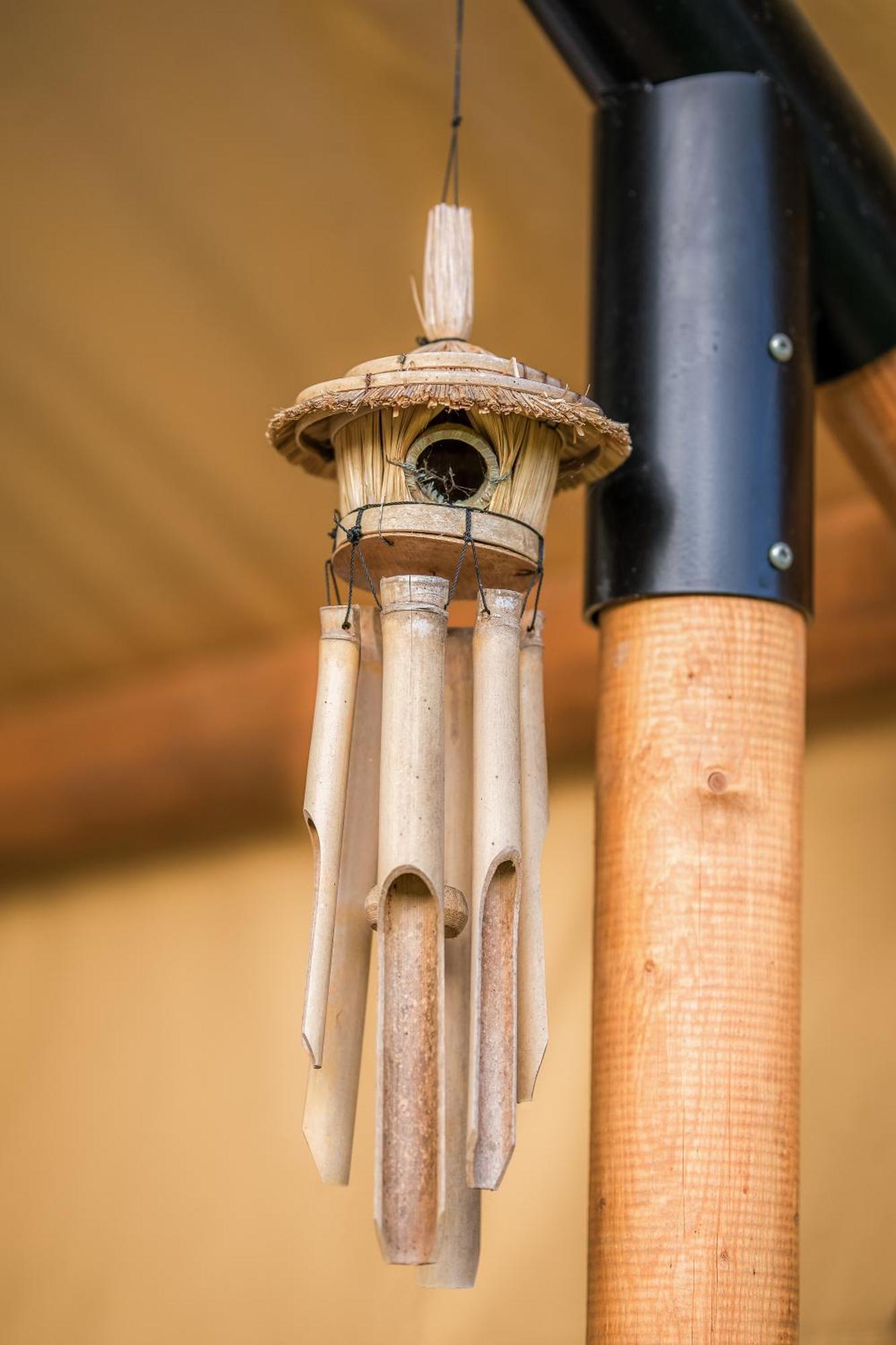 Hotel Glamping Pod Gwiazdami Pietrusza Wola Zewnętrze zdjęcie