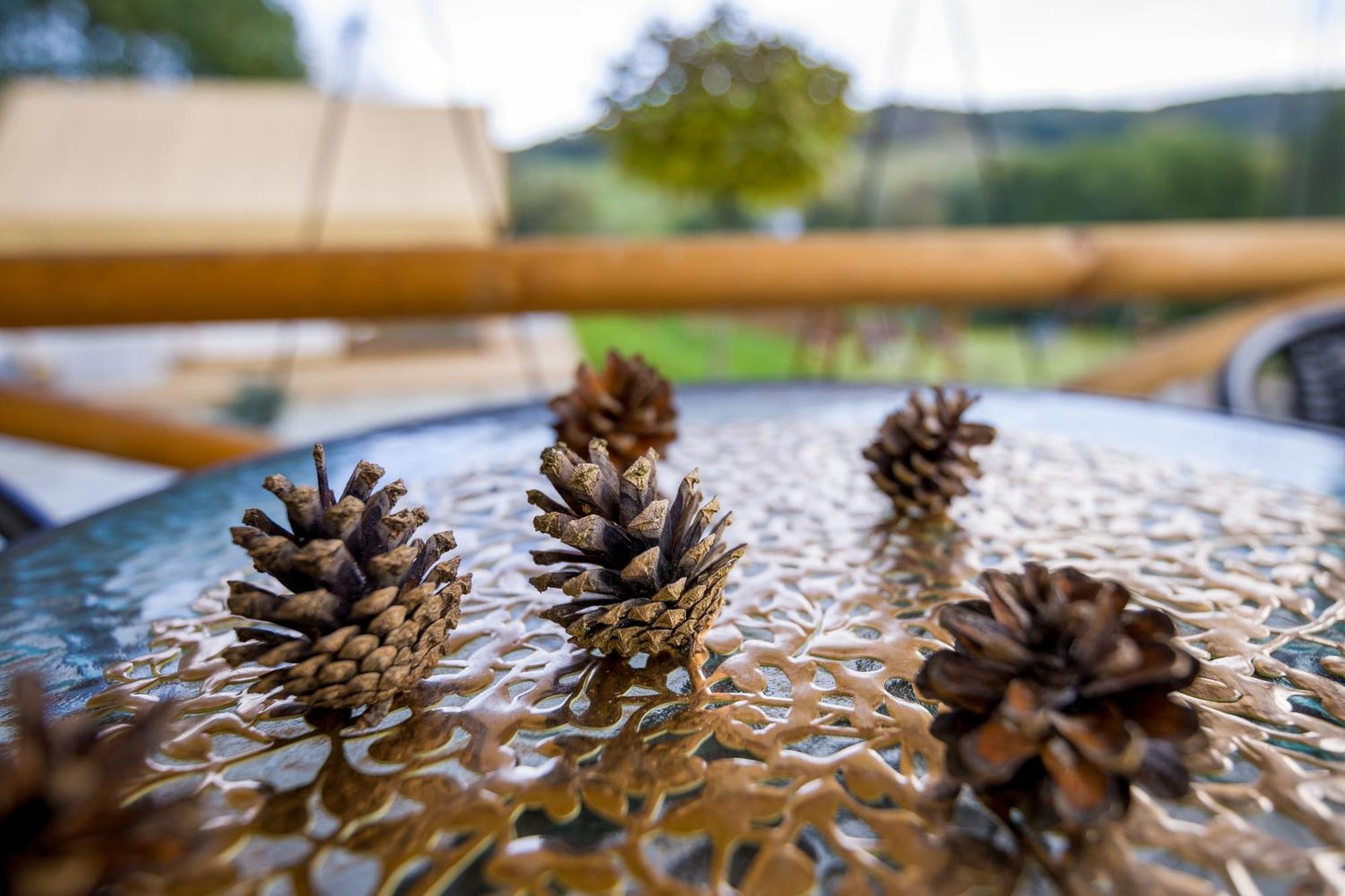 Hotel Glamping Pod Gwiazdami Pietrusza Wola Zewnętrze zdjęcie