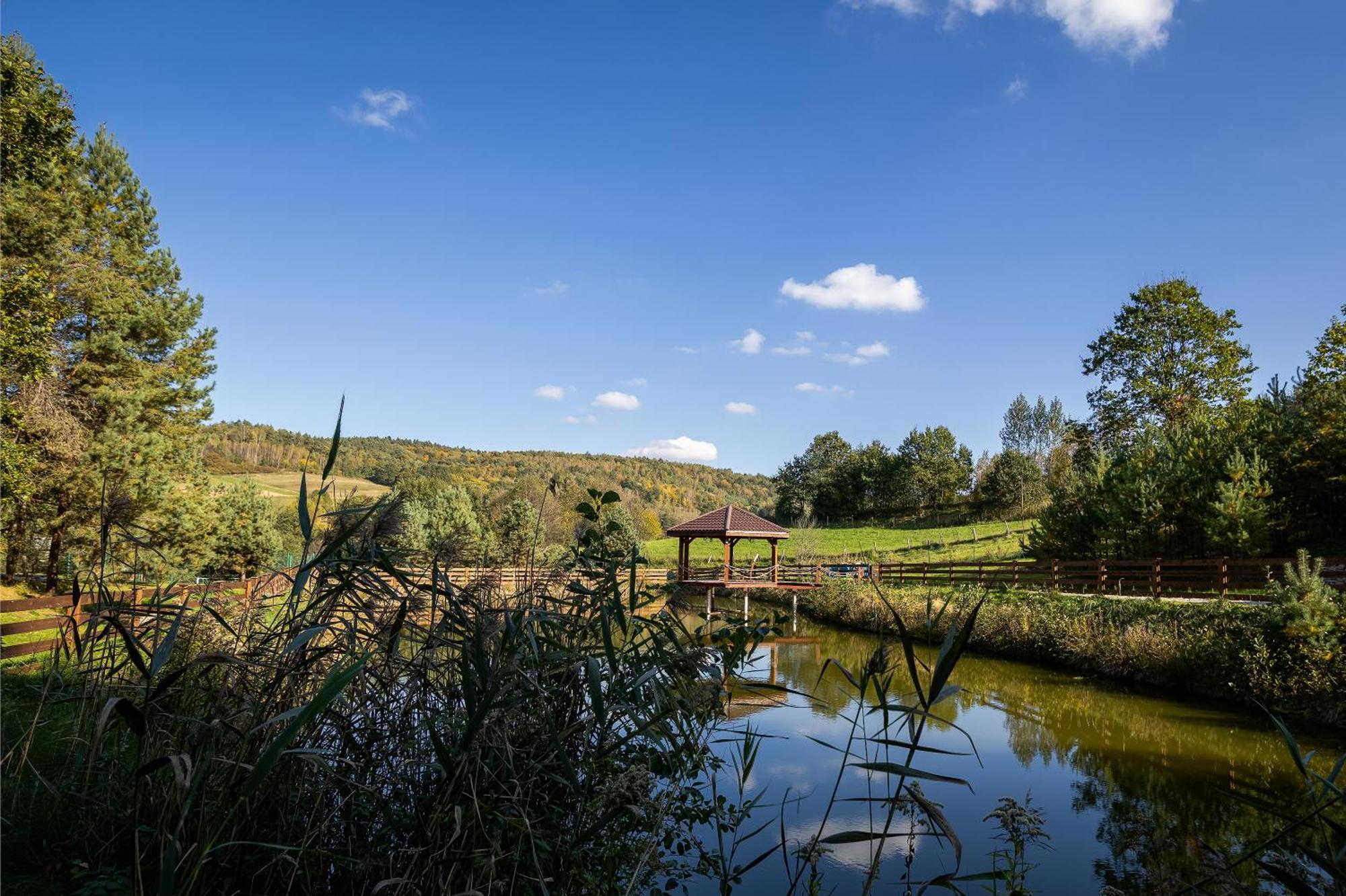 Hotel Glamping Pod Gwiazdami Pietrusza Wola Zewnętrze zdjęcie